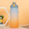 gradient sports water bottle (4)