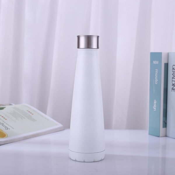 cola stainless steel water bottle (2)