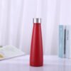 cola stainless steel water bottle (4)