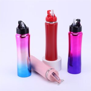 stainless water bottle with straw (3)