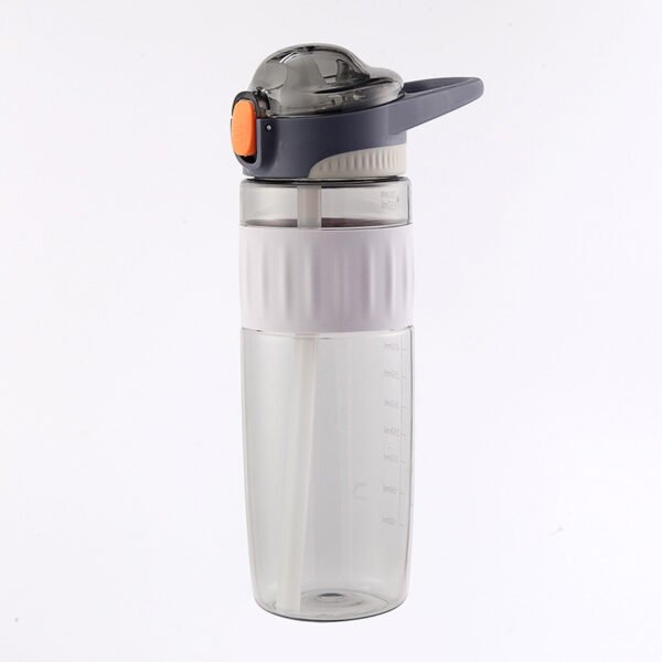 Flip-lock Plastic Water Bottle Gray