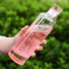 Gradient Timeline Glass Water Bottle Pink