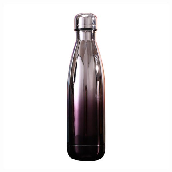 Gradient thermos water bottle (2)