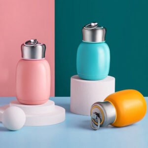 Mini Thermos Water Bottle