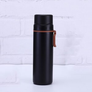 classic stainless insulated water bottle black