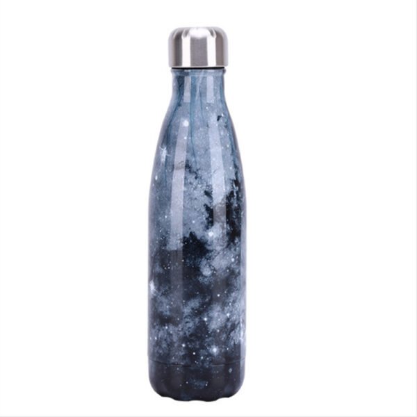 galaxy insulated water bottle (1)