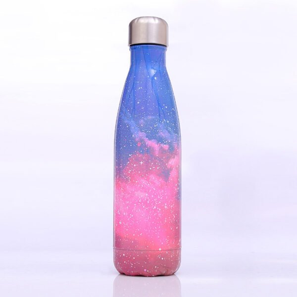galaxy insulated water bottle (2)