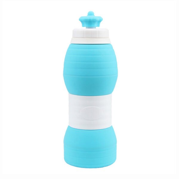 Spout Lid Silicone Water Bottle Blue