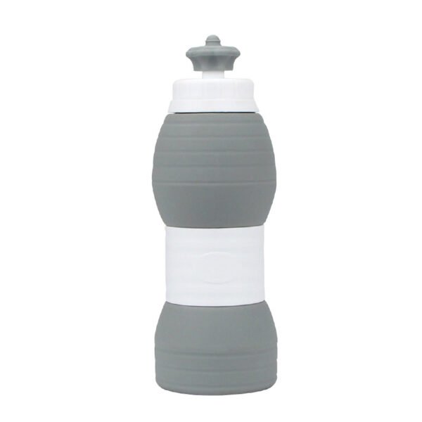 Spout Lid Silicone Water Bottle Gray