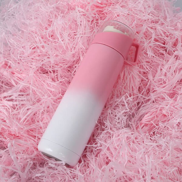 Gradient Flask Water Bottle Pink